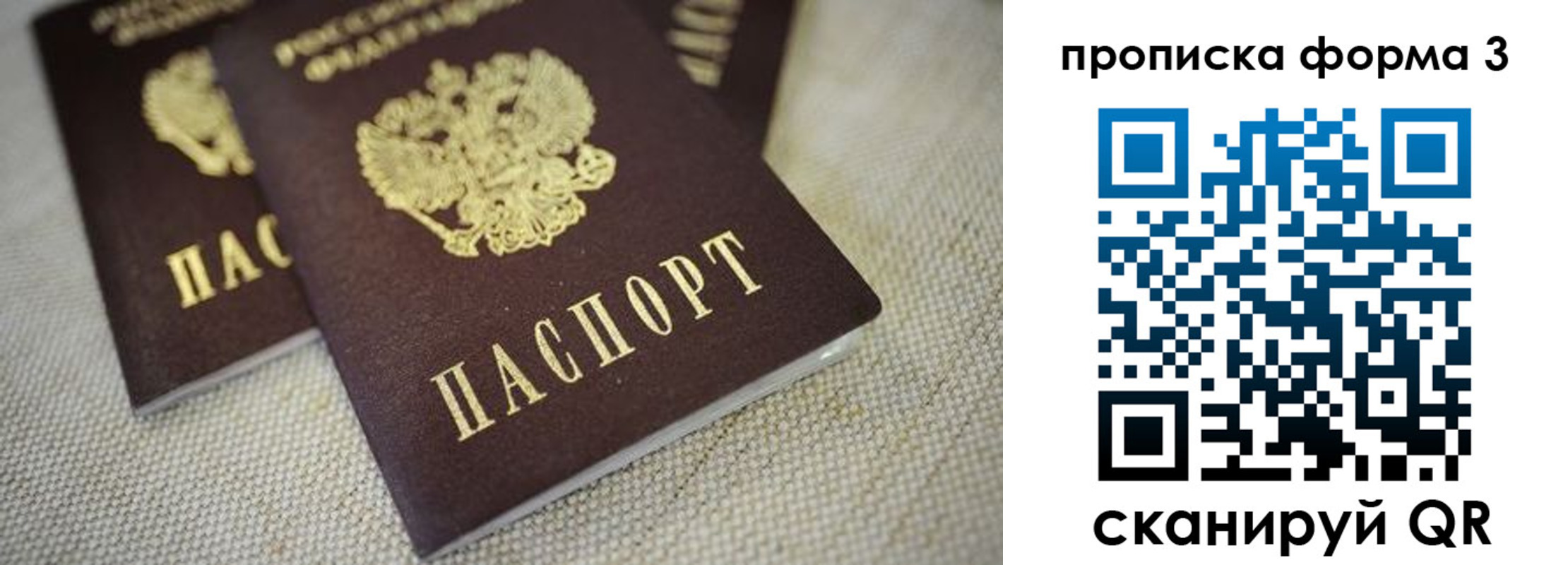 прописка поиск в Белово